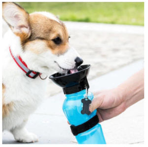 BOTELLA DISPENSADORA DE AGUA PORTÁTIL PARA PERROS – 500ML